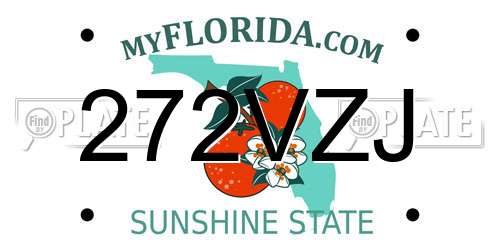 272VZJ Florida License Plate