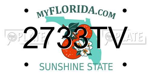 2733TV Florida License Plate