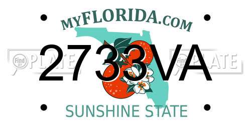 2733VA Florida License Plate