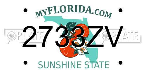 2733ZV Florida License Plate