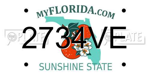 2734VE Florida License Plate
