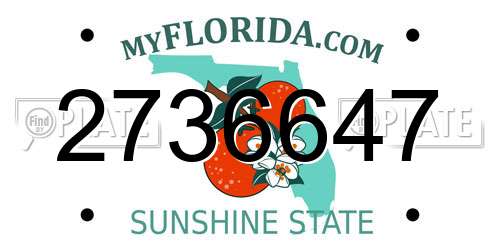 2736647 Florida License Plate