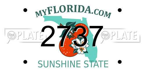 2737 Florida License Plate