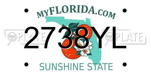 2738YL Florida License Plate