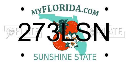 273LSN Florida License Plate