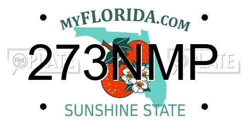 273NMP Florida License Plate