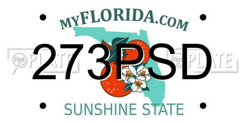 273PSD Florida License Plate