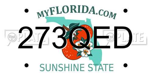 273QED Florida License Plate