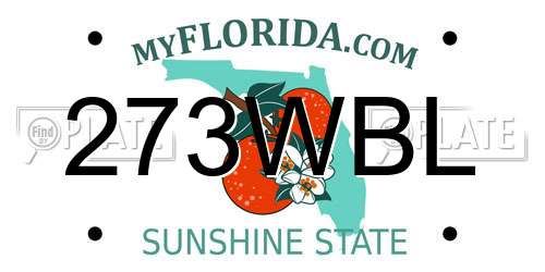 273WBL Florida License Plate