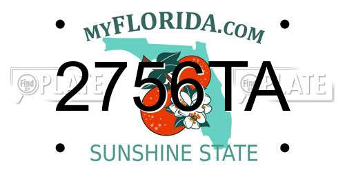 2756TA Florida License Plate
