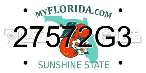 27572G3 Florida License Plate