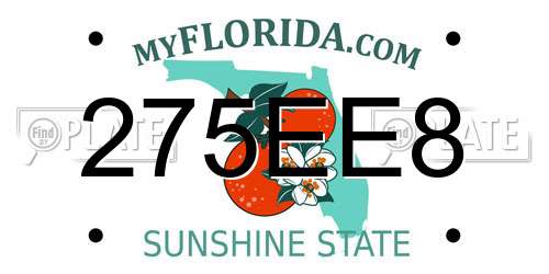 275EE8 Florida License Plate