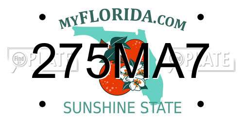 275MA7 Florida License Plate