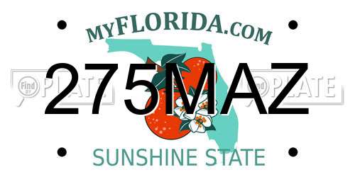 275MAZ Florida License Plate