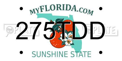 275TDD Florida License Plate