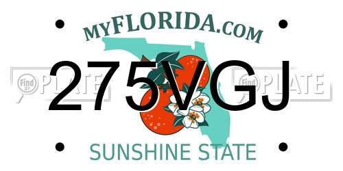 275VGJ Florida License Plate