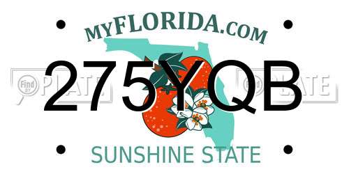 275YQB Florida License Plate