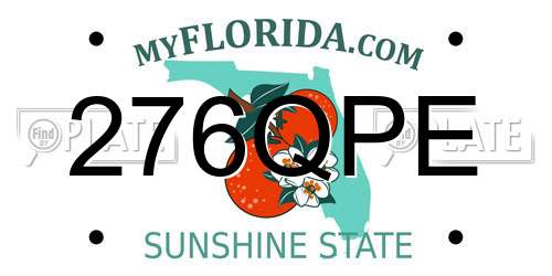 276QPE Florida License Plate