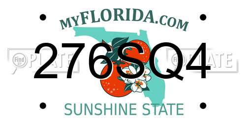 276SQ4 Florida License Plate