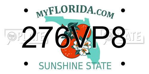 276VP8 Florida License Plate