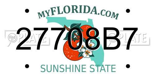 27708B7 Florida License Plate