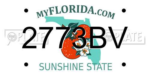 2773BV Florida License Plate