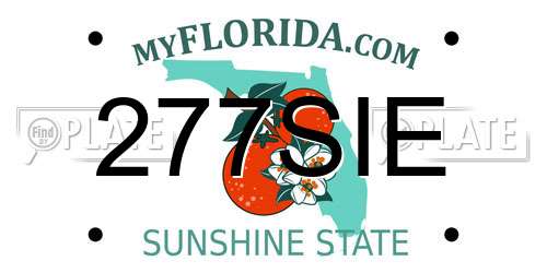 277SIE Florida License Plate