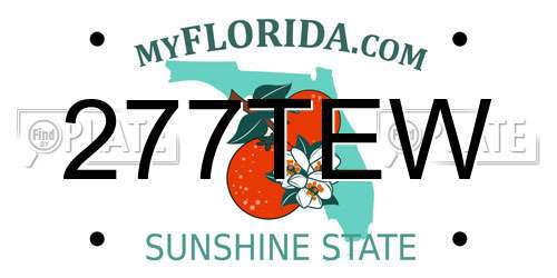 277TEW Florida License Plate