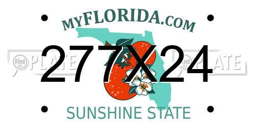 277X24 Florida License Plate