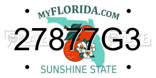 27877G3 Florida License Plate