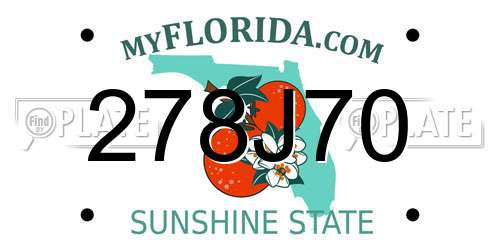 278J70 Florida License Plate