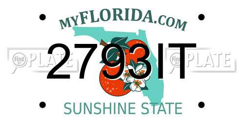 2793IT Florida License Plate