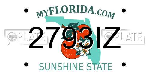 2793IZ Florida License Plate