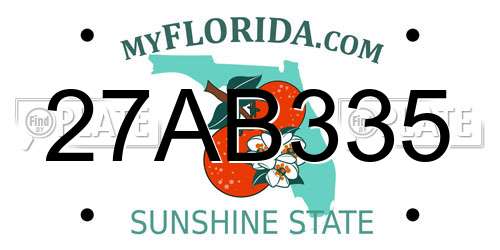 27AB335 Florida License Plate