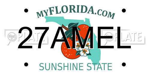 27AMEL Florida License Plate