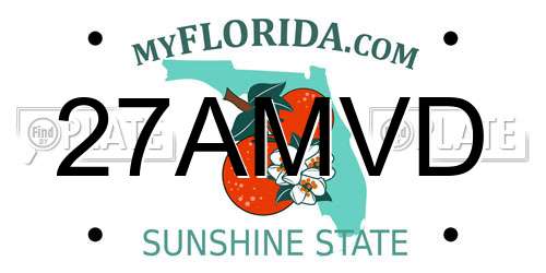 27AMVD Florida License Plate