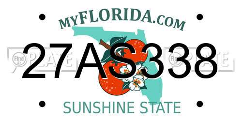27AS338 Florida License Plate
