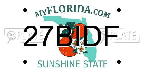 27BIDF Florida License Plate