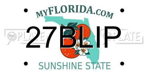 27BLIP Florida License Plate