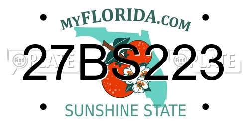 27BS223 Florida License Plate