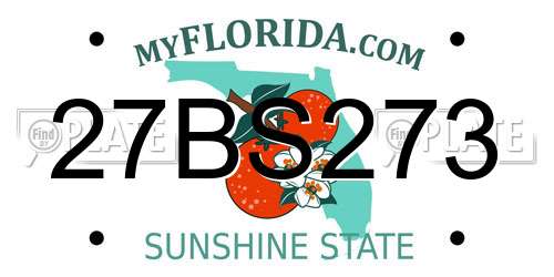 27BS273 Florida License Plate