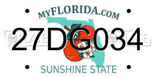 27DG034 Florida License Plate