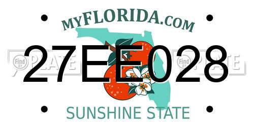 27EE028 Florida License Plate