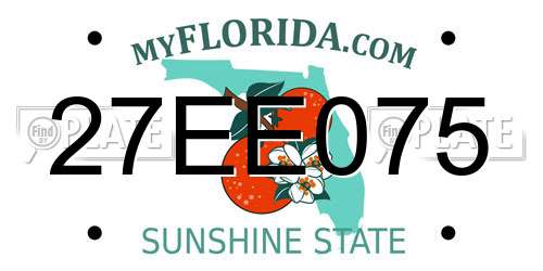 27EE075 Florida License Plate