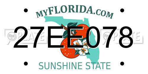 27EE078 Florida License Plate