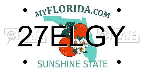 27ELGY Florida License Plate