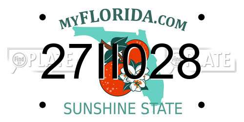 27II028 Florida License Plate