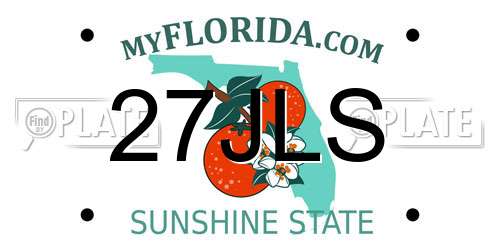 27JLS Florida License Plate