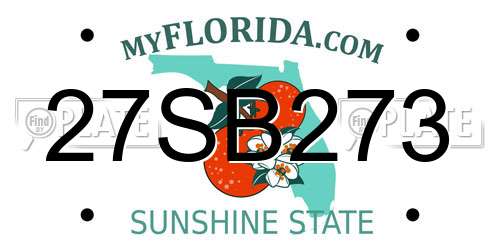 27SB273 Florida License Plate