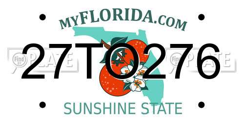 27TO276 Florida License Plate